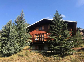 Chalet Chamois - Grand chalet dans un quartier résidentiel - Plein Sud - 10 pers avec 5 grandes chambres MAE-8214